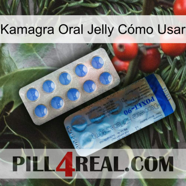 Kamagra Oral Jelly Cómo Usar 40.jpg